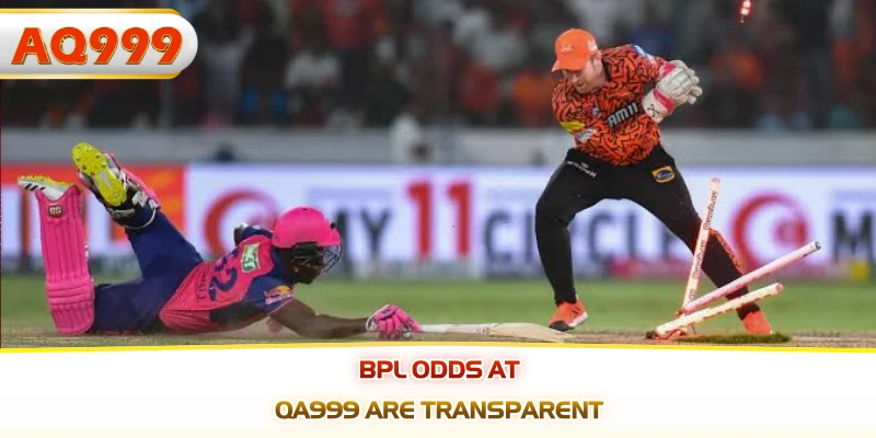 BPL odds at QA999 are transparent