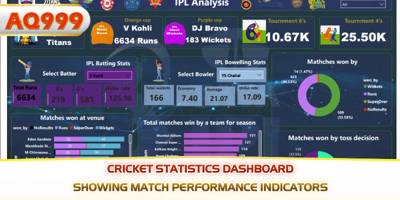 Cricket statistics dashboard showing match performance indicators