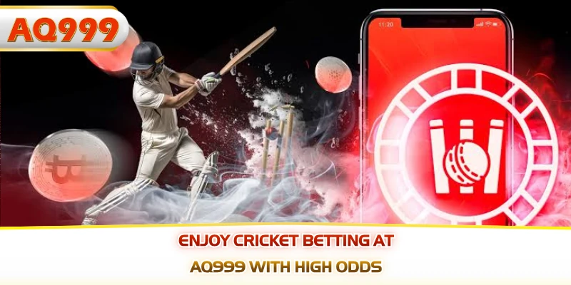 Enjoy cricket betting at AQ999 with high odds