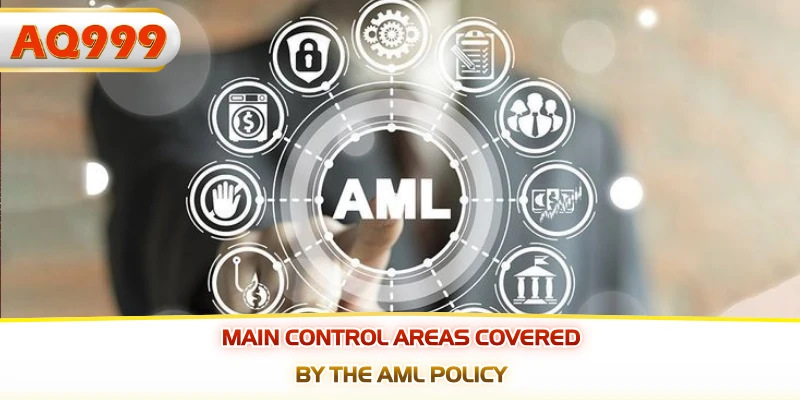 Main control areas covered by the AML Policy