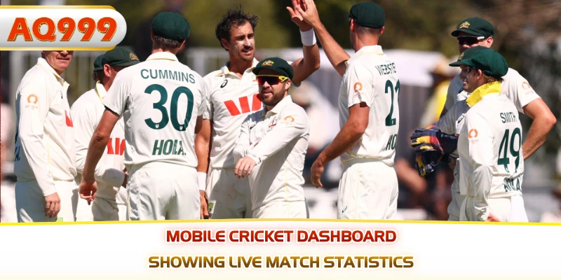 Mobile cricket dashboard showing live match statistics