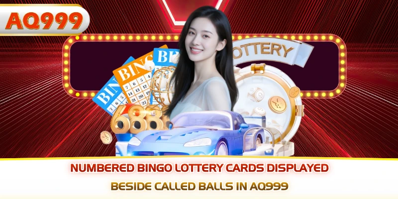 Numbered bingo lottery cards displayed beside called balls in AQ999